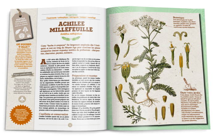 Double-page hors-série Rustica plantes médicinales