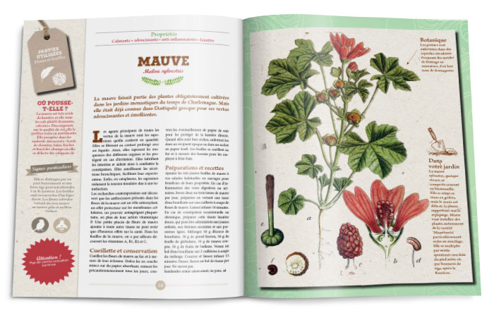 Double-page hors-série Rustica plantes médicinales